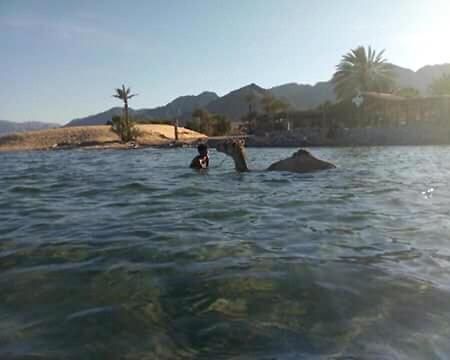 Hostel Sebaii Camp السباعى كامب شاطئ الترابين بجوار ويت بالس Nuweiba` Exteriér fotografie