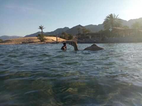 Hostel Sebaii Camp السباعى كامب شاطئ الترابين بجوار ويت بالس Nuweiba` Exteriér fotografie