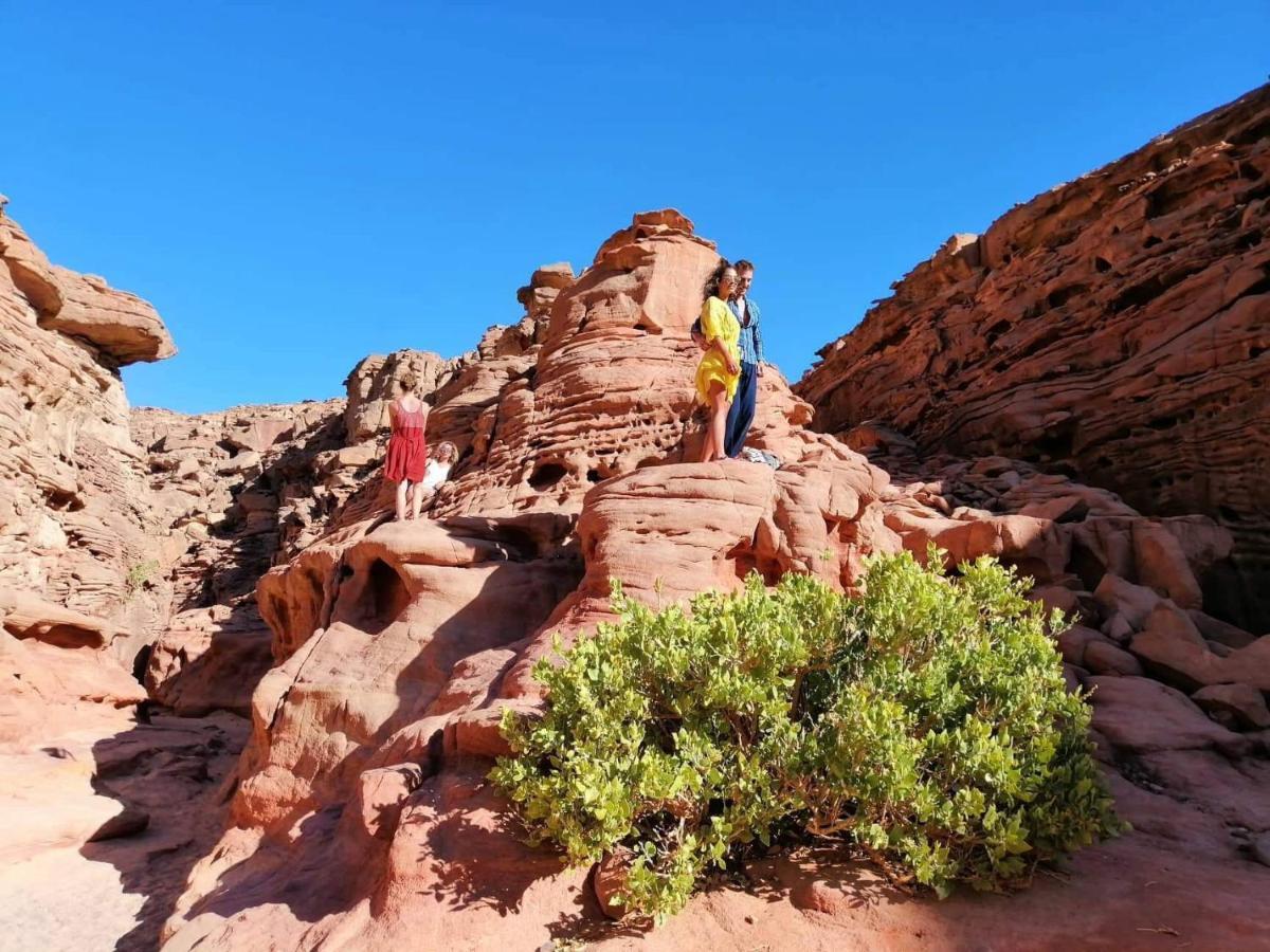 Hostel Sebaii Camp السباعى كامب شاطئ الترابين بجوار ويت بالس Nuweiba` Exteriér fotografie