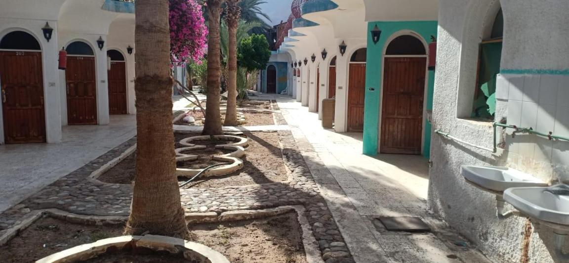 Hostel Sebaii Camp السباعى كامب شاطئ الترابين بجوار ويت بالس Nuweiba` Exteriér fotografie